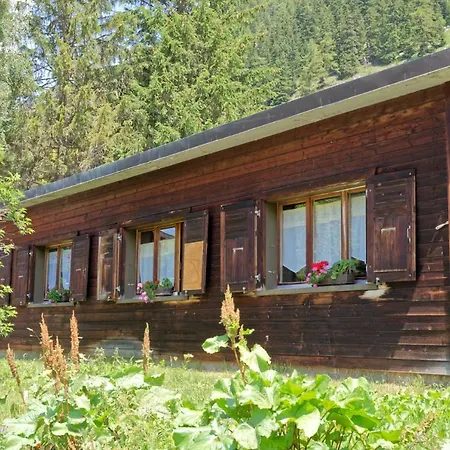 Bivouac De Napoléon 3*